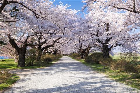 北上市立公園展勝地